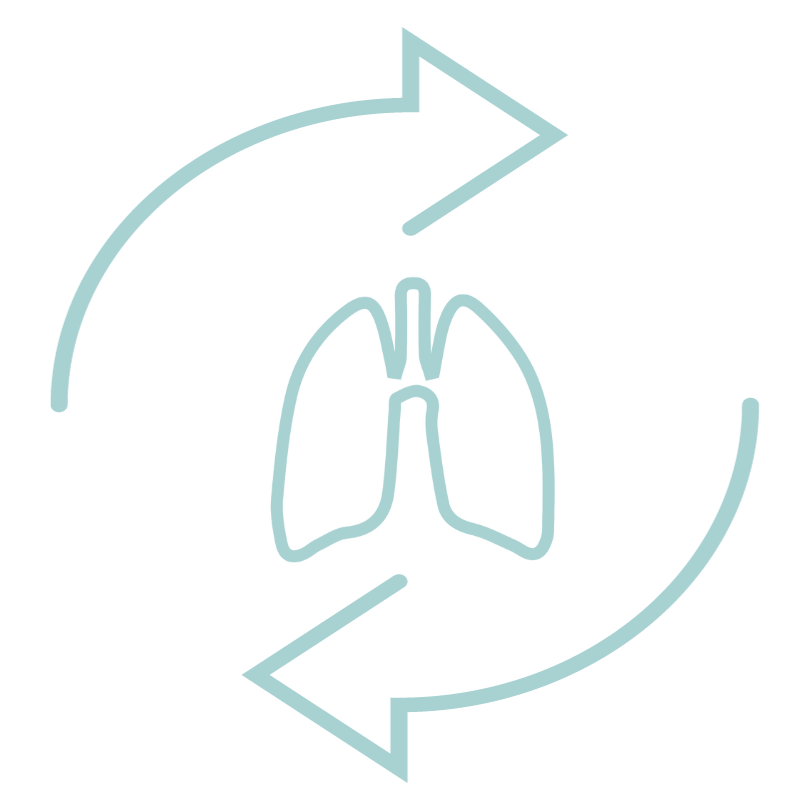 Lung Restart Logo