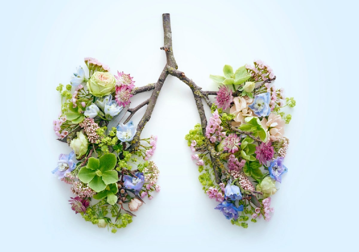 Lung Flowers