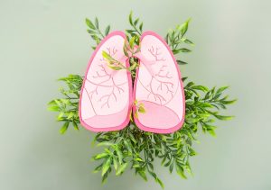 Lungs Graphic
